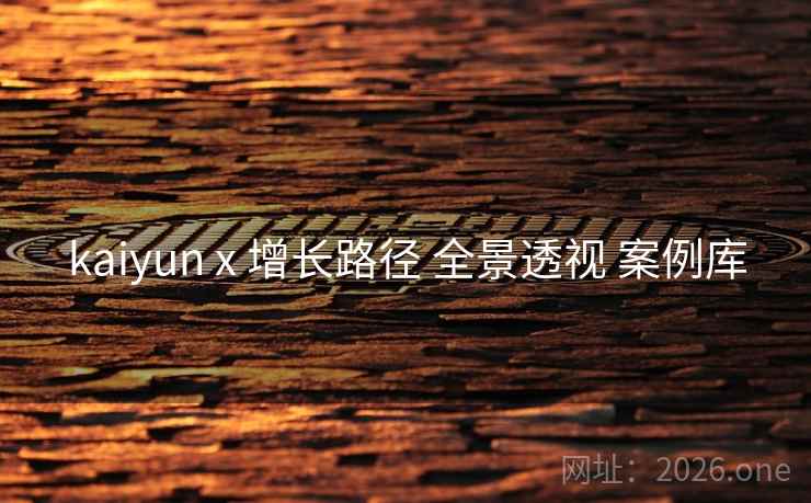 kaiyun x 增长路径 全景透视 案例库