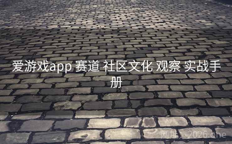 爱游戏app 赛道 社区文化 观察 实战手册 爱游戏app 赛道 社区文化 观察 实战手册