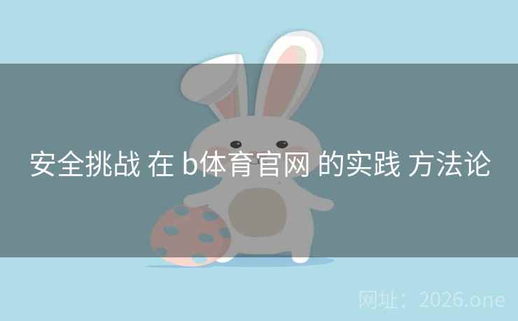安全挑战 在 b体育官网 的实践 方法论