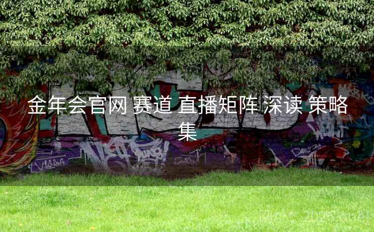 金年会官网 赛道 直播矩阵 深读 策略集