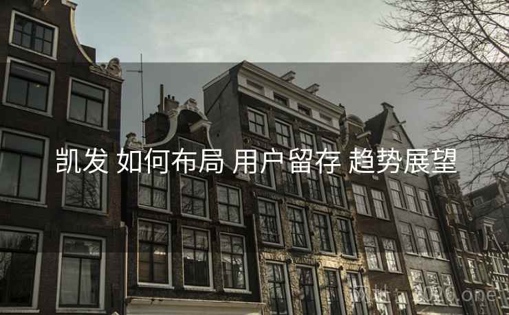 凯发 如何布局 用户留存 趋势展望