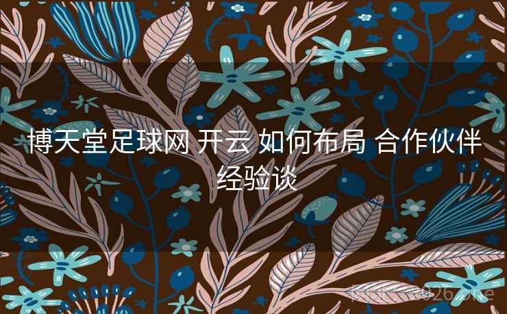 博天堂足球网 开云 如何布局 合作伙伴 经验谈