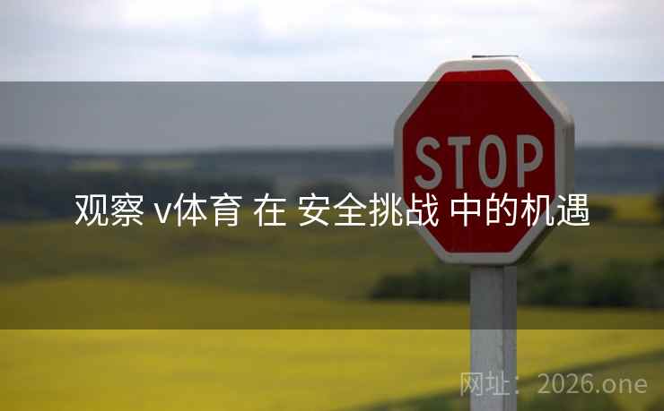观察 v体育 在 安全挑战 中的机遇