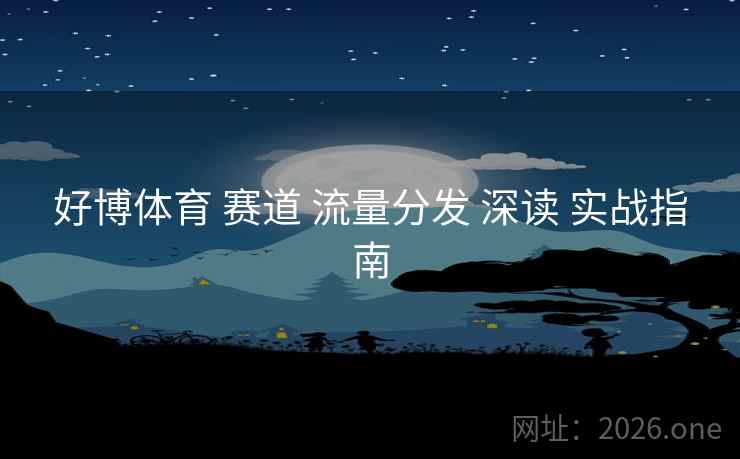 好博体育 赛道 流量分发 深读 实战指南