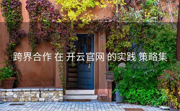 跨界合作 在 开云官网 的实践 策略集