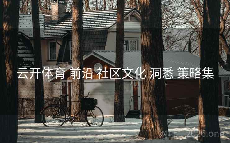 云开体育 前沿 社区文化 洞悉 策略集